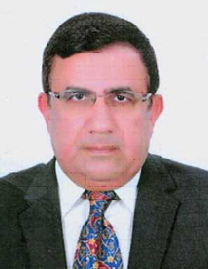 Hesham Mostafa